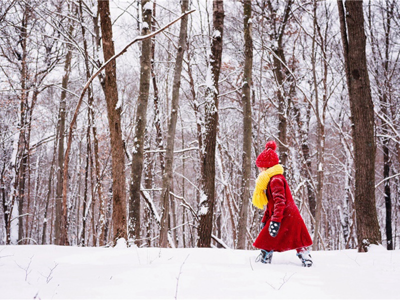还家寄吴世长兼简潘子真原文注释译文赏析-李彭诗词-宋诗全集