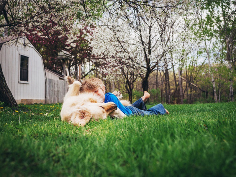 行甫载酒为别原文注释译文赏析-韩淲诗词-宋诗全集