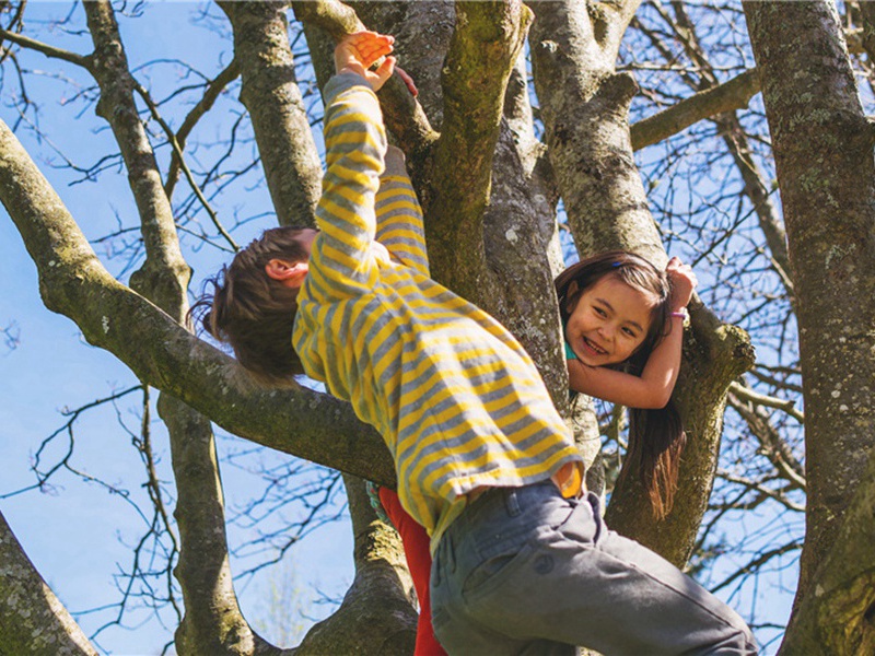女郎山原文注释译文赏析-姜夔诗词-宋诗全集
