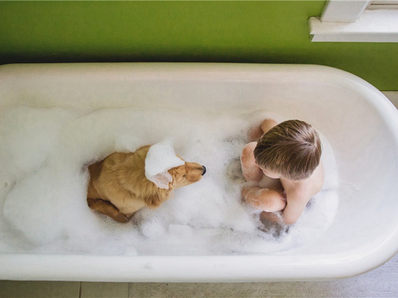 岩下放言五首·灵椿台原文注释译文赏析-黄庭坚诗词-宋诗全集