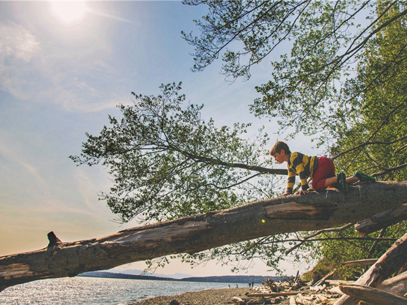 二十九日寒食·其一原文注释译文赏析-韩淲诗词-宋诗全集