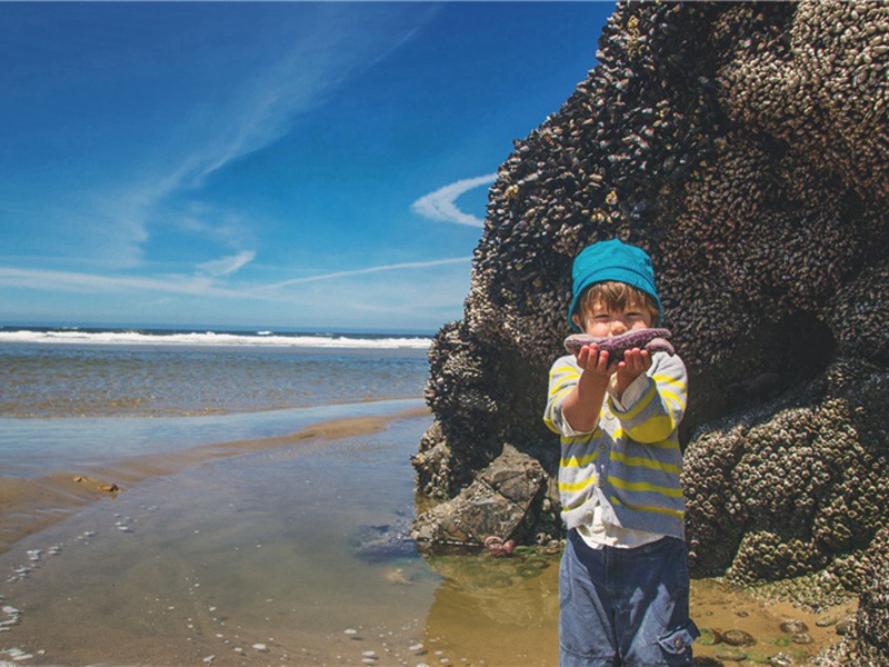 秋晚泊吴江塔院寄王抱节原文注释译文赏析-李龏诗词-宋诗全集