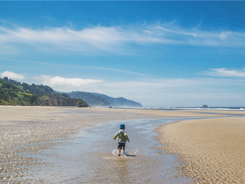 送次道学士倅洛中原文注释译文赏析-胡宿诗词-宋诗全集
