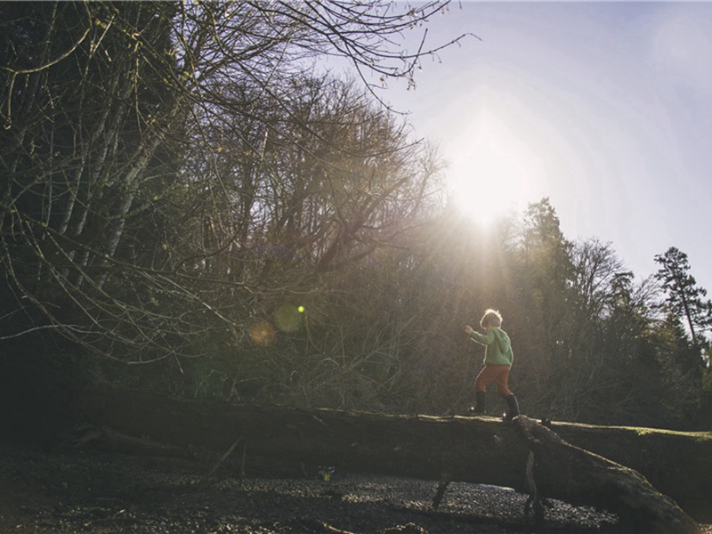 芋洋岭背闻雨声满山细听林上槁叶风过之相戛击而成音后先疏数中节清绝难状篷笼夜雨未足为奇原文注释译文赏析-巩丰诗词-宋诗全集