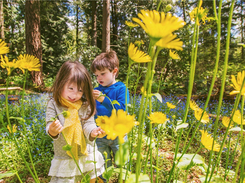 大观宗祀明堂五首·酌献用《孝安》。原文注释译文赏析-郊庙朝会歌辞诗词-宋诗全集