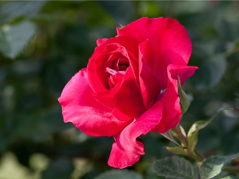 送徐正时之官赣州四首·其二原文注释译文赏析-曹勋诗词-宋诗全集