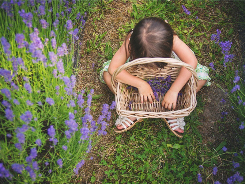 乙未次普信院与首座惟表谈道原文注释译文赏析-葛胜仲诗词-宋诗全集