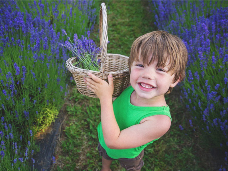闲居思湖上原文注释译文赏析-韩维诗词-宋诗全集