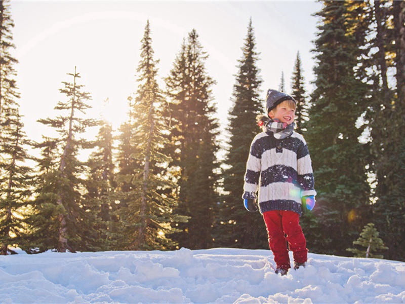 以天坛灵寿杖送莘老原文注释译文赏析-黄庭坚诗词-宋诗全集