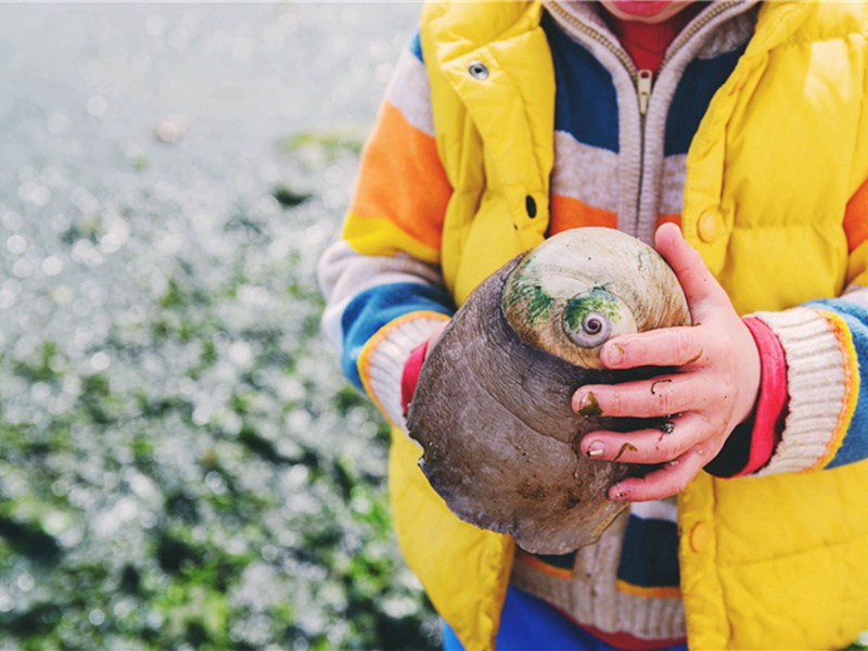喜客泉二首·其二原文注释译文赏析-陆文圭诗词-宋诗全集