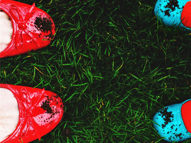 次韵中秉教授喜雨之作原文注释译文赏析-冯伯规诗词-宋诗全集