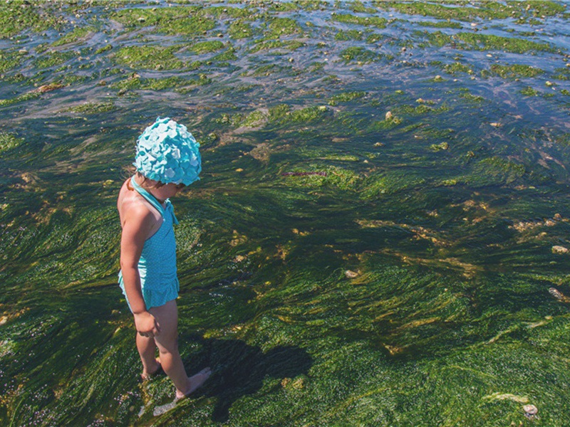 题项羽庙三首·其三原文注释译文赏析-贺铸诗词-宋诗全集