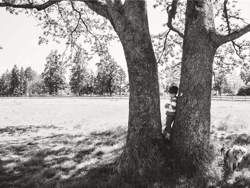 和刘后村梅花百咏·其四三原文注释译文赏析-方蒙仲诗词-宋诗全集