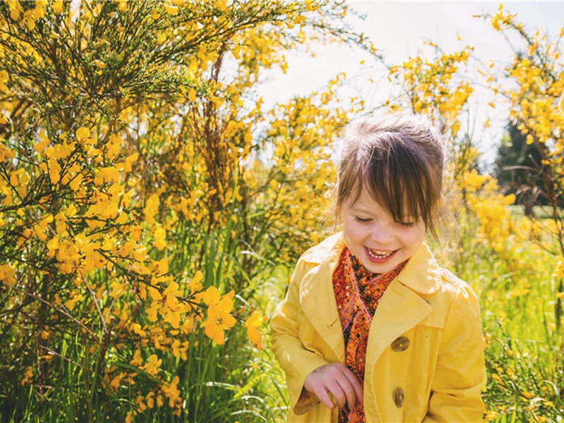 诗二首·其一原文注释译文赏析-方回诗词-宋诗全集