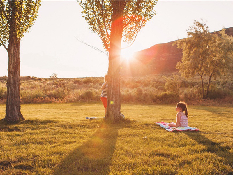 上巳日与客游张园原文注释译文赏析-韩元吉诗词-宋诗全集