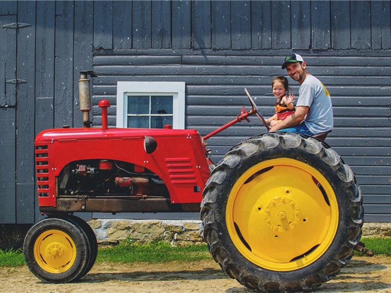 次韵伊洛道中原文注释译文赏析-洪适诗词-宋诗全集