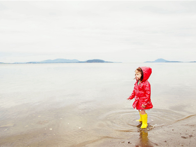 登高临大江原文注释译文赏析-方回诗词-宋诗全集