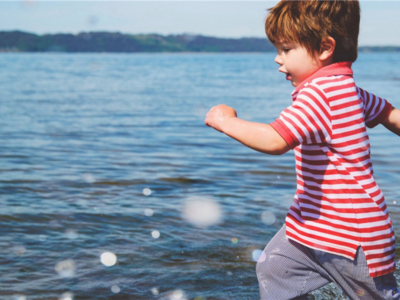 琼花原文注释译文赏析-韩琦诗词-宋诗全集
