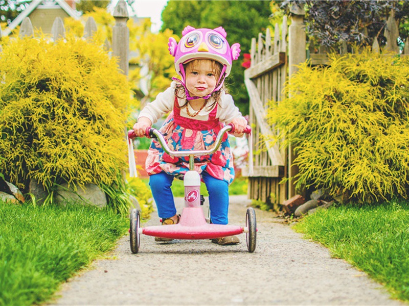 赠何定远原文注释译文赏析-傅慎微诗词-宋诗全集