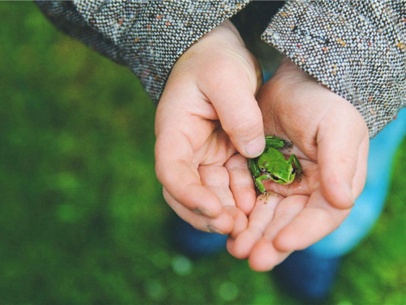 山林堂·其一原文注释译文赏析-韩淲诗词-宋诗全集