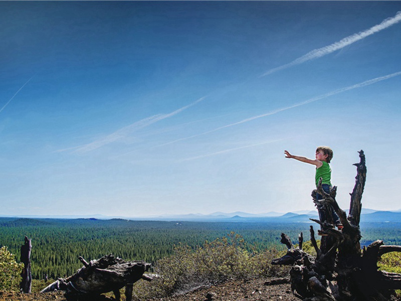谢陈舜弼送丹荔原文注释译文赏析-冯时行诗词-宋诗全集