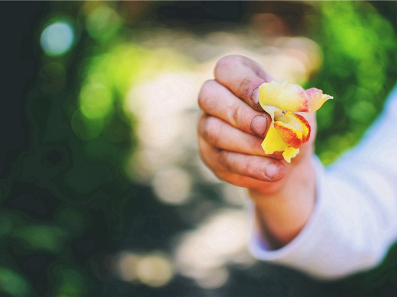 皇后阁五首·其一原文注释译文赏析-韩维诗词-宋诗全集