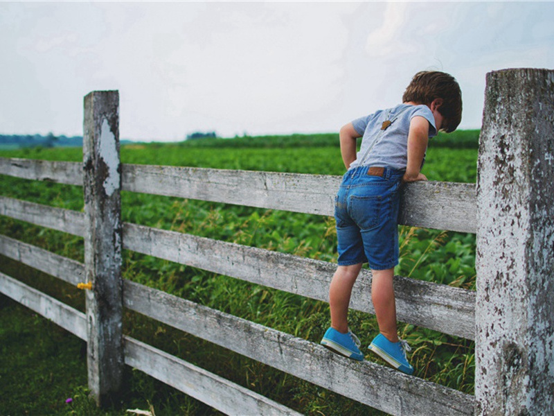 与任鲲同按沙苑原文注释译文赏析-李复诗词-宋诗全集