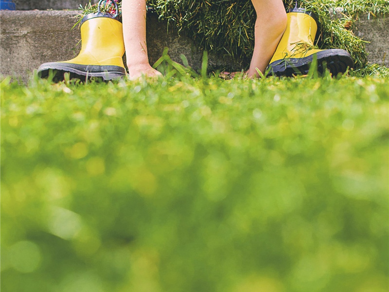 画竹原文注释译文赏析-韩淲诗词-宋诗全集