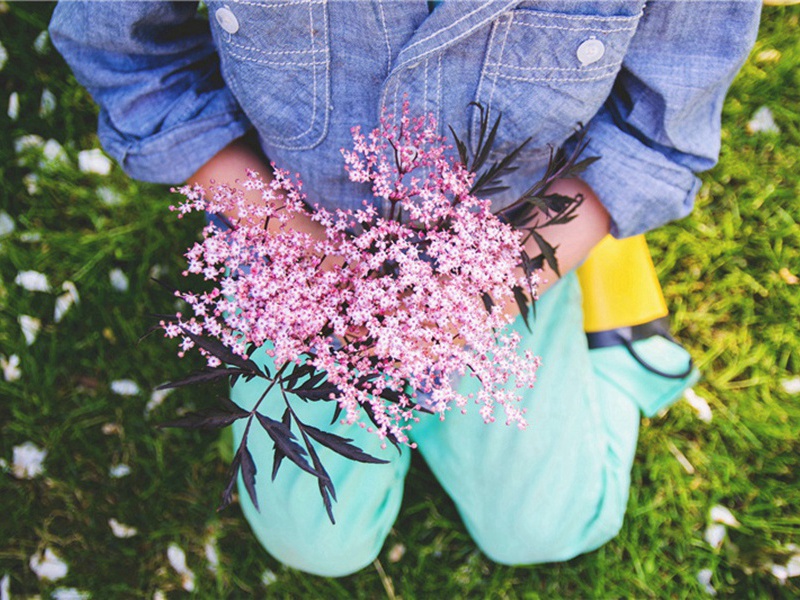 鄱阳汤仲材以其家息庵存斋东涧三大老鄂州黄龙寺僧惠璋入石诗装为一轴求士大夫赞颂紫阳山下方回之先人字元章嘉定甲戌与晦静先生同年为下偈言而不及此意可乎仲材能作只夜回作伽佗可也·其二原文注释译文赏析-方回诗词-宋诗全集