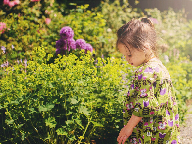 丙寅十四首效韦苏州·其一一原文注释译文赏析-黄庭坚诗词-宋诗全集