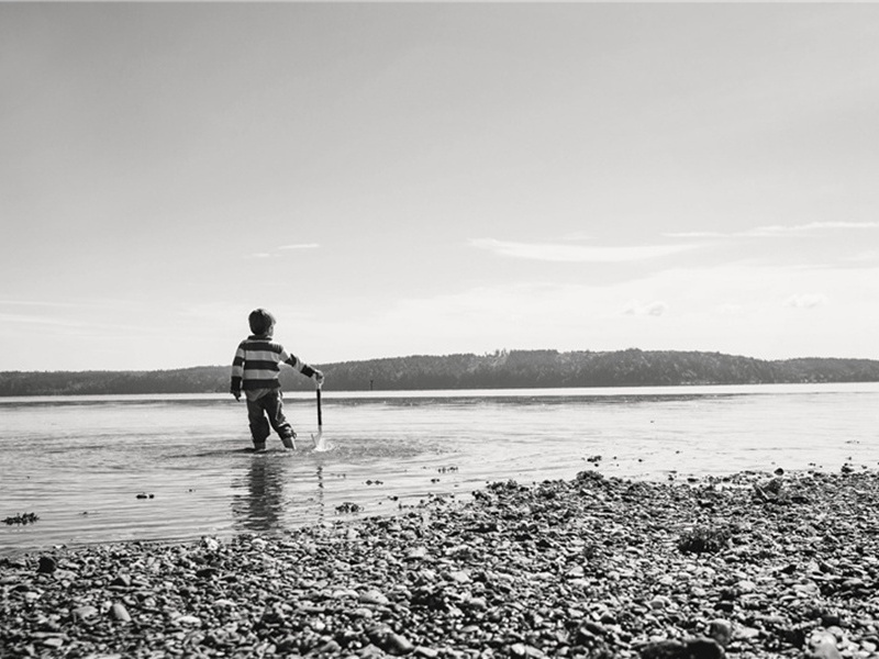 再至史局原文注释译文赏析-范镇诗词-宋诗全集