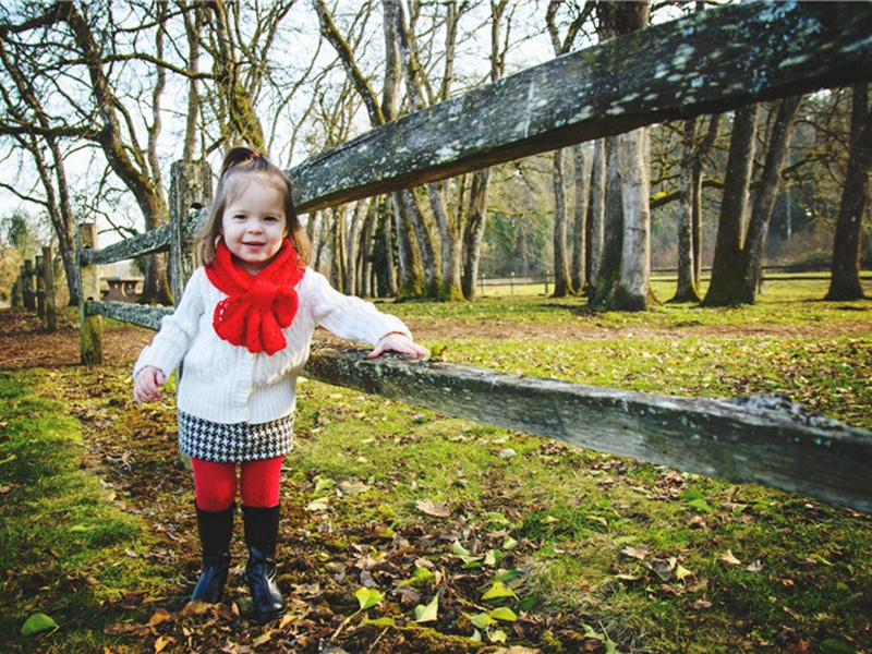 寄张端父原文注释译文赏析-孔武仲诗词-宋诗全集