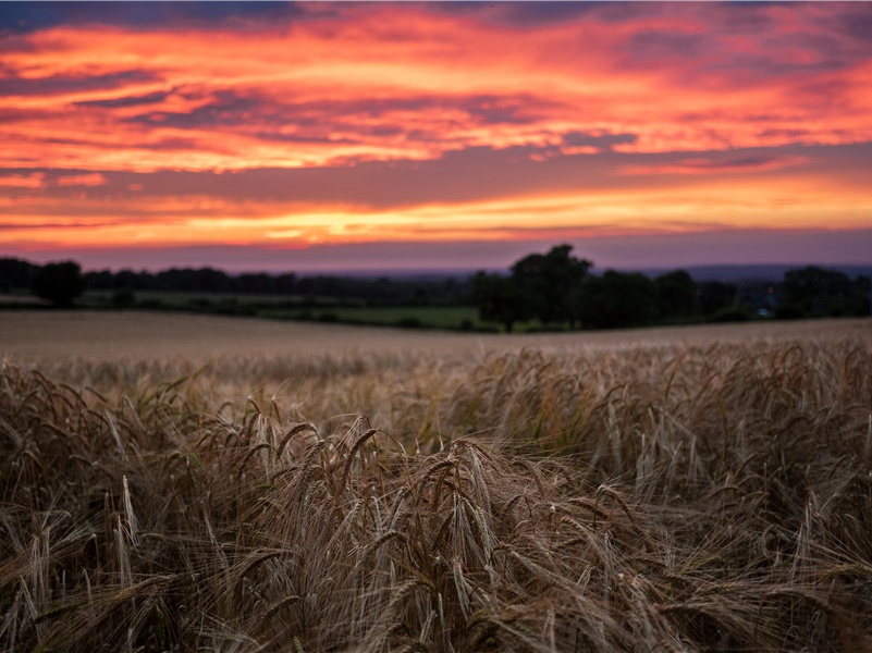 公无渡河原文注释译文赏析-白玉蟾诗词-宋诗全集