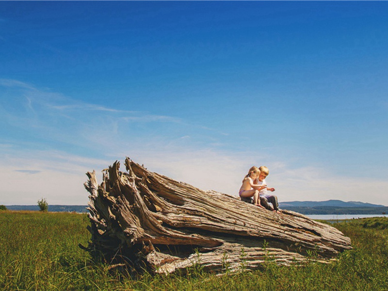 过中山原文注释译文赏析-洪适诗词-宋诗全集