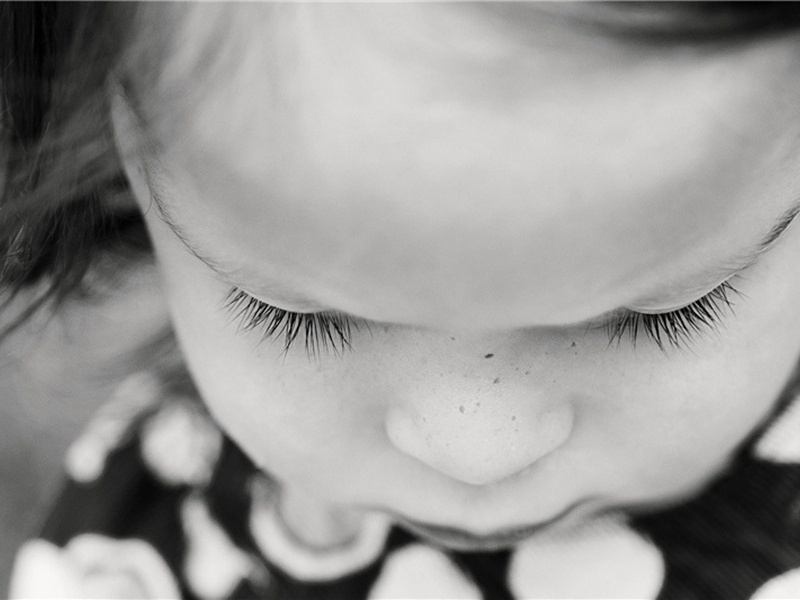 次紫芝韵原文注释译文赏析-葛天民诗词-宋诗全集