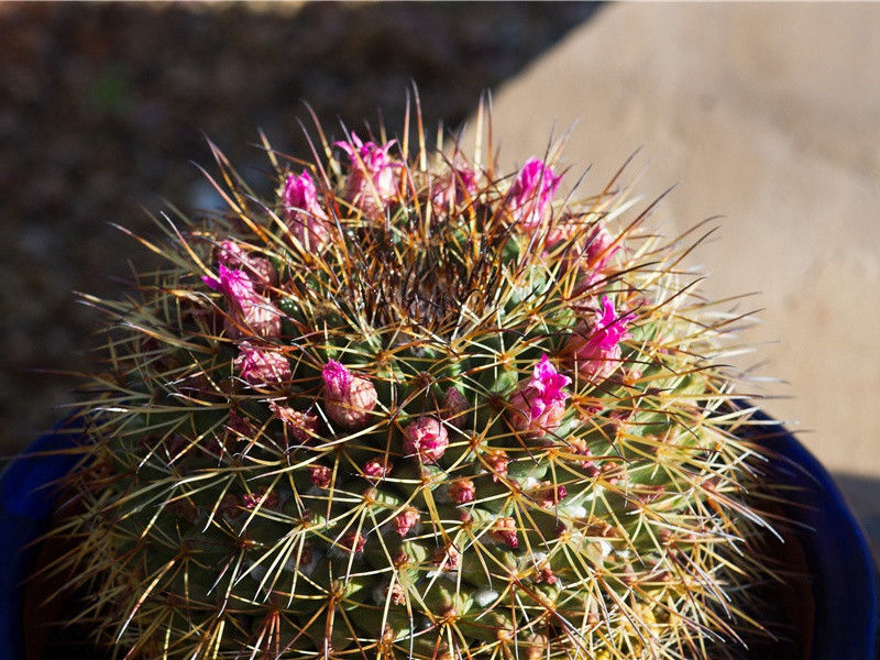 硖内原文注释译文赏析-晁公遡诗词-宋诗全集