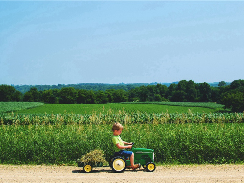凌虚台原文注释译文赏析-郭印诗词-宋诗全集
