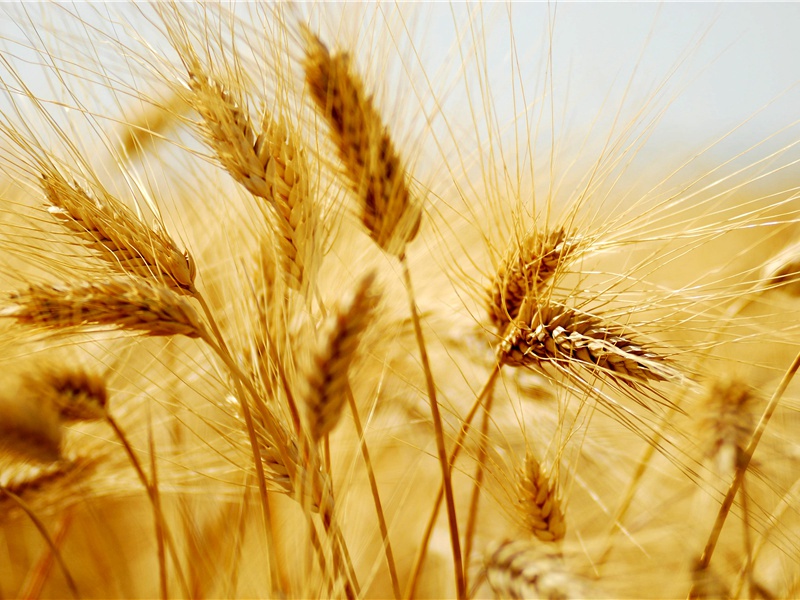 次韵袁起岩提刑游金焦二山二首·其二原文注释译文赏析-范成大诗词-宋诗全集