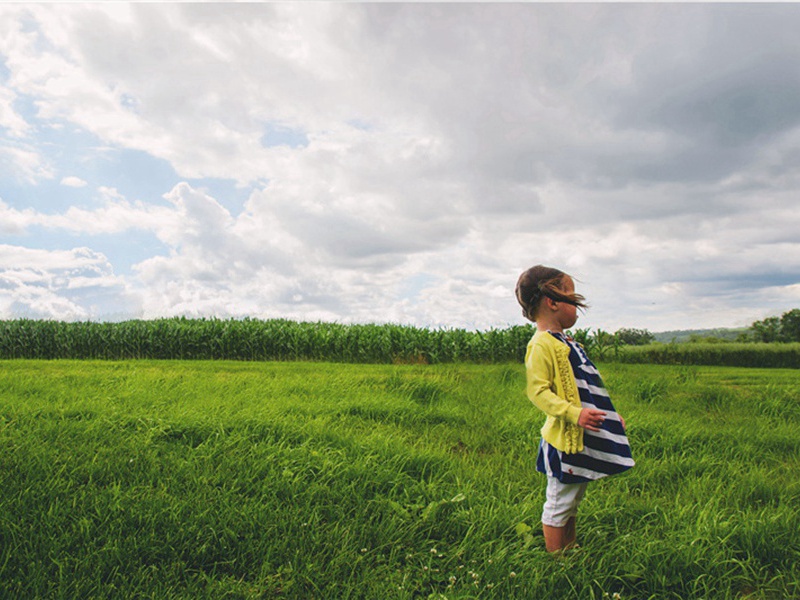 闲居七首·其四原文注释译文赏析-陆游诗词-宋诗全集