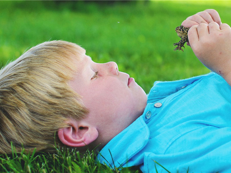 金陵怀古原文注释译文赏析-黄庚诗词-宋诗全集