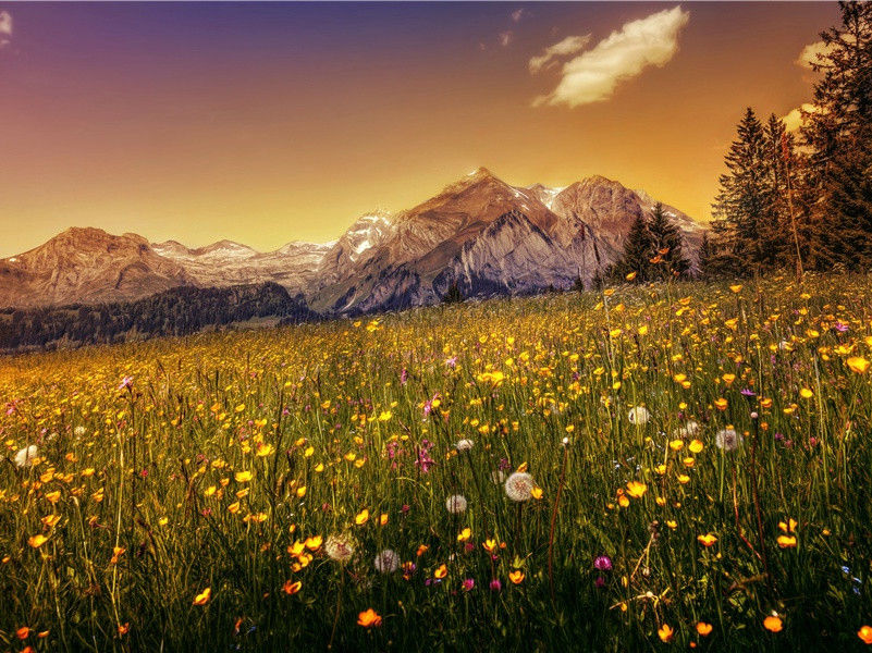 船过桐江怀郭圣与原文注释译文赏析-戴复古诗词-宋诗全集