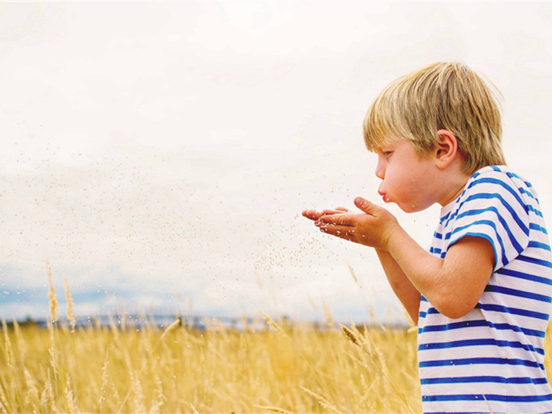 再和嗣首座五诗寄舒老微老·其三原文注释译文赏析-李彭诗词-宋诗全集