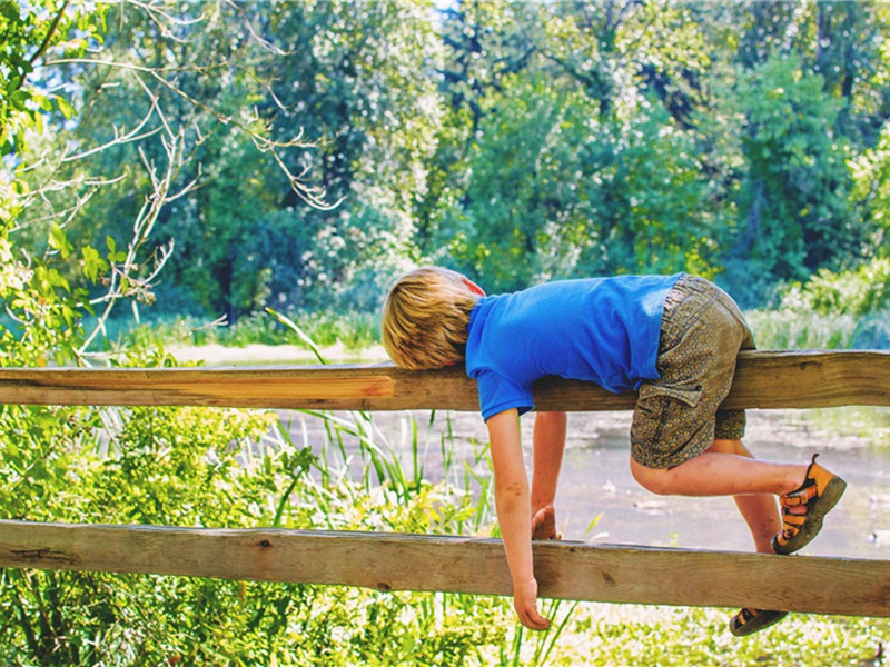 陈右司挽诗原文注释译文赏析-姜特立诗词-宋诗全集