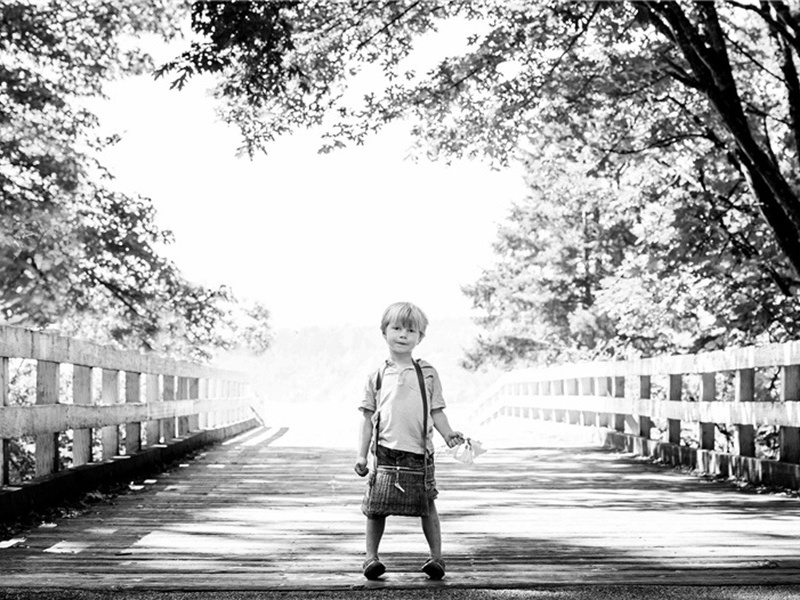 杂咏下·茱萸原文注释译文赏析-洪适诗词-宋诗全集