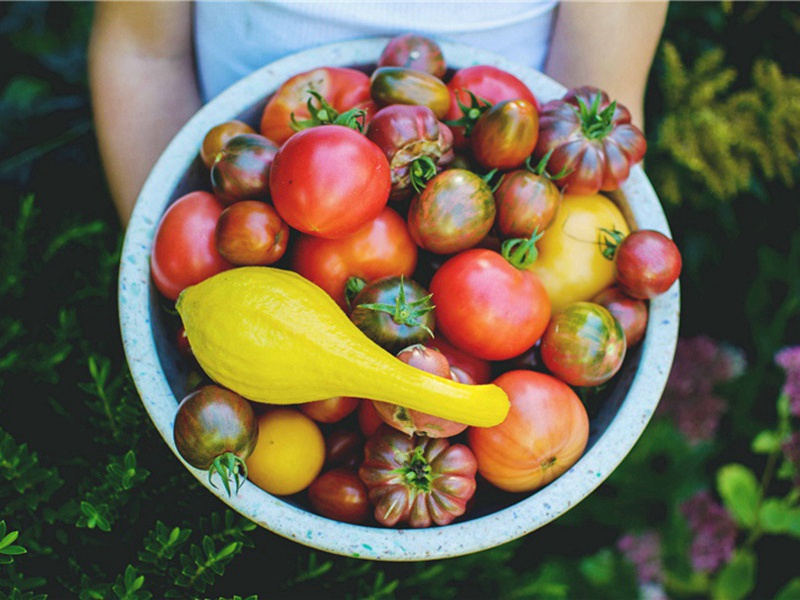 获稻原文注释译文赏析-李觏诗词-宋诗全集