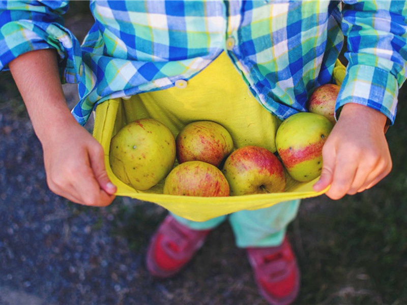 五月九日甲子至月望庚午大雨水不已十首·其九原文注释译文赏析-方回诗词-宋诗全集