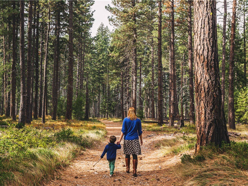 为茭桥居士作念念即佛颂原文注释译文赏析-黄庭坚诗词-宋诗全集