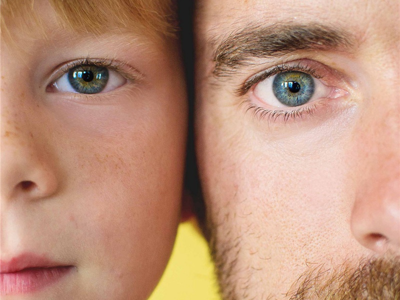 祭九鼎十二首·春分，苍鼎亚、终献用《成安》。原文注释译文赏析-郊庙朝会歌辞诗词-宋诗全集