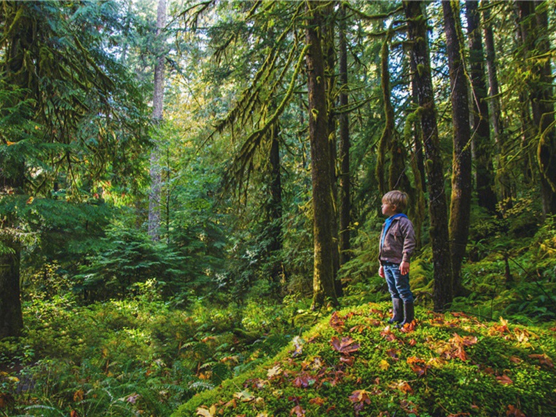 赵彦术於姑熟倅厅作寄傲轩请予为诗寄之原文注释译文赏析-李弥逊诗词-宋诗全集