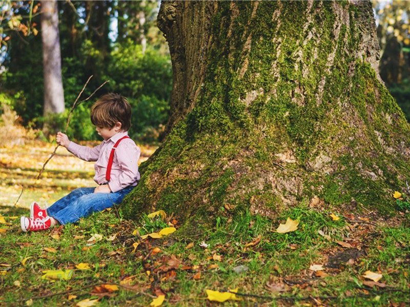 论俗诗四首·其一原文注释译文赏析-何耕诗词-宋诗全集